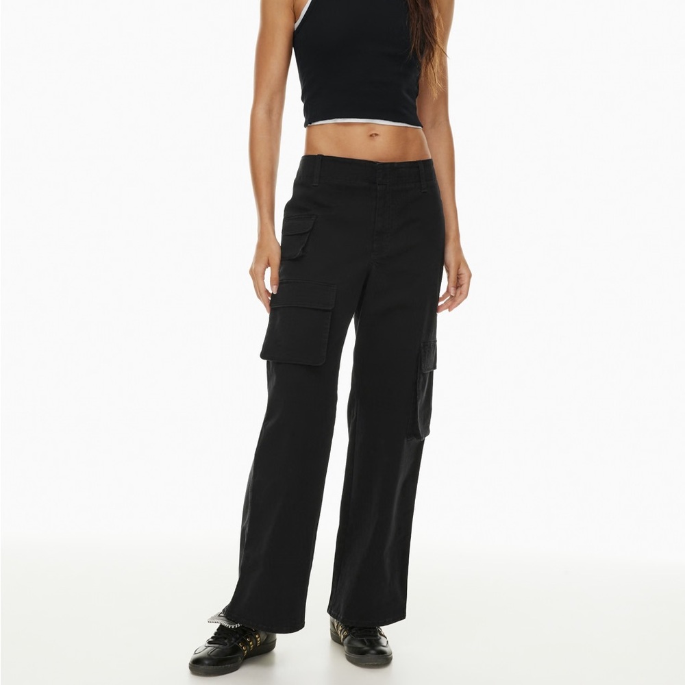 Aritzia Picture Cargo Pants